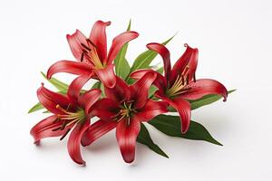 AI generated Red Lilies isolated on white background. AI Generated photo