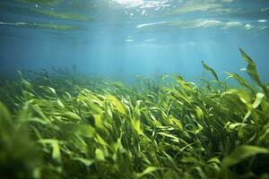 ai generado submarino ver de un grupo de fondo del mar con verde pastos marinos. ai generado foto