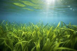 AI generated Underwater view of a group of seabed with green seagrass. AI Generated photo