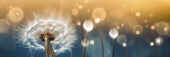 AI generated Abstract blurred nature background dandelion seeds parachute. Bokeh pattern. Generative AI photo