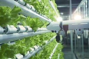 AI generated Automatic Agricultural Technology With Close-up View Of Robotic Arm Harvesting Lettuce In Vertical Hydroponic Plant. AI Generated photo