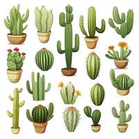 ai generado el cactus conjunto en blanco antecedentes. clipart ilustraciones. ai generado foto