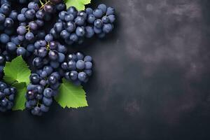 AI generated Flat lay background of vines, lots of organic blue dark grapes. AI Generated photo