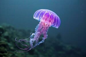 ai generado color de malva aguijón púrpura Medusa. ai generado. foto