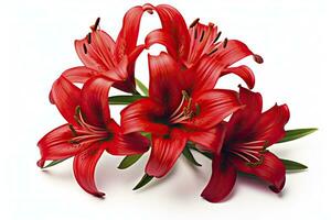 AI generated Red Lilies isolated on white background. AI Generated photo