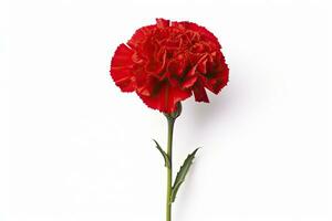 AI generated Red Carnation isolated on white background. AI Generated photo