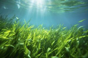 AI generated Underwater view of a group of seabed with green seagrass. AI Generated photo