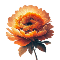 ai généré Orange fleur floral png