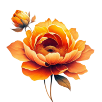 AI generated orange flower floral png