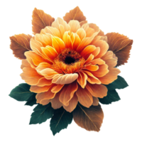 AI generated orange flower floral png