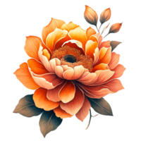AI generated orange flower floral png
