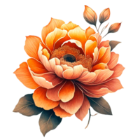 ai gegenereerd oranje bloem bloemen png