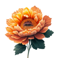 ai généré Orange fleur floral png