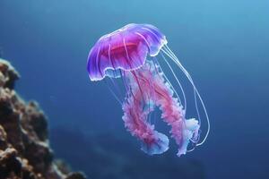 AI generated Mauve stinger purple jellyfish. AI Generated. photo