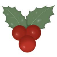 Holly and berries png