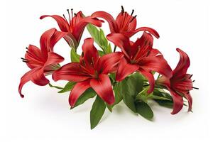 AI generated Red Lilies isolated on white background. AI Generated photo