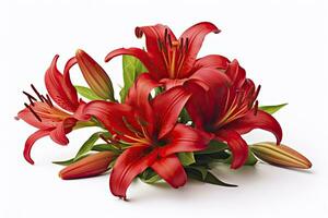 AI generated Red Lilies isolated on white background. AI Generated photo