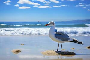 ai generado Gaviota en el playa debajo azul cielo. foto