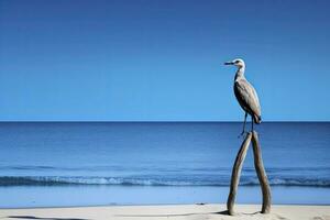 AI generated Seagull on the beach under blue sky. photo