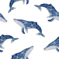 desatado padronizar com azul baleia. mão desenhado corcunda cetáceos peixe, embaixo da agua animal linha arte ilustração. sem fim fundo para papel de parede, tecido, invólucro papel png