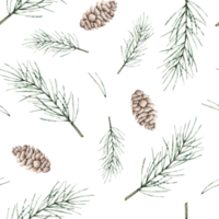 Seamless pattern of pine branch and cones. Botanical elements twig of conifers evergreen tree. Hand drawn watercolor illustration isolated endless image on background for wallpapers, fabric, wrapping png