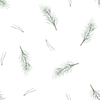 Seamless pattern of pine branch. Botanical elements twig of conifers evergreen tree. Hand drawn watercolor illustration isolated endless image on black background for wallpapers, fabric, wrapping png