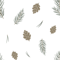 Seamless pattern of pine branch and cones in scandinavian style. Botanical elements twig of conifers evergreen tree. Hand drawn Stylized spruce digital illustration. Endless print for wallpapers png