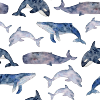 Seamless pattern with Orcinus orca, cachalot, dolphin, humpback. Wild inhabitants of the seas and oceans. Hand drawn cetaceans fish line art illustration. Endless background for wallpaper, fabric png
