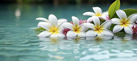AI generated Plumeria flowers on green leaf floating on water. A peaceful and serene scene with a touch of nature and beauty. AI Generated photo