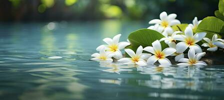 ai generado plumeria flores en verde hoja flotante en agua. un pacífico y sereno escena con un toque de naturaleza y belleza. ai generado foto