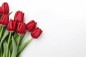 AI generated Red tulips isolated on white background. AI Generated photo