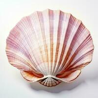 AI generated Watercolor Seashell clipart on white background. AI Generated photo