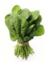 AI generated Bunch of spinach isolated on white background. AI Generated photo