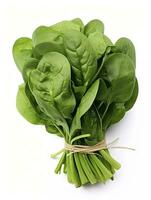 AI generated Bunch of spinach isolated on white background. AI Generated photo