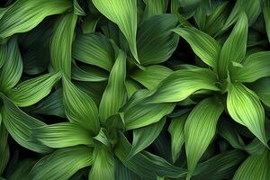 AI generated A plant with lots of large green leaves. AI Generated photo