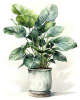 AI generated Watercolor potted houseplant isolated on white background. AI Generated photo