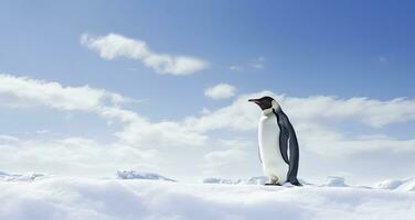 ai generado pingüino en pie en Antártida mirando dentro el azul cielo. ai generado foto