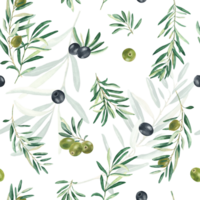 vattenfärg sömlös mönster med grenar av grön och svart oliver på en vit bakgrund. kan vara Begagnade för textil, tapet grafik, kök, mat och kosmetisk design. png