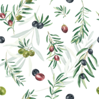 Watercolor seamless pattern with branches of green, black and red olives on a white background. Can be used for textile, wallpaper prints, kitchen, food and cosmetic design. png