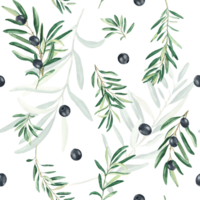 vattenfärg sömlös mönster med grenar av svart oliver på en vit bakgrund. kan vara Begagnade för textil, tapet grafik, kök, mat och kosmetisk design. png
