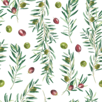 acuarela sin costura modelo con ramas de verde y rojo aceitunas en un blanco antecedentes. lata ser usado para textil, fondo de pantalla huellas dactilares, cocina, comida y cosmético diseño. png