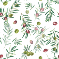 aquarelle sans couture modèle avec branches de vert et rouge Olives sur une blanc Contexte. pouvez être utilisé pour textile, fond d'écran impressions, cuisine, nourriture et cosmétique conception. png