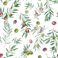 acuarela sin costura modelo con ramas de verde y rojo aceitunas en un blanco antecedentes. lata ser usado para textil, fondo de pantalla huellas dactilares, cocina, comida y cosmético diseño. png