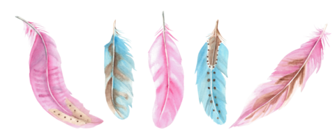 Set of blue and pink feathers isolated on white background, watercolor hand drawn illustration. For decoration, cards and textile prints. png