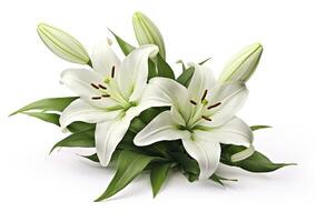 AI generated Beautiful fresh lily flower with green leaves, isolated on white background. AI Generated photo