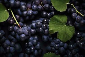 AI generated Flat lay background of vines, lots of organic blue dark grapes. AI Generated photo