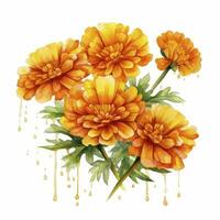 AI generated Watercolor autumn marigold flowers with raindrops on white background. AI Generated photo