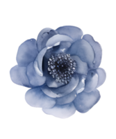 AI generated Floral watercolor element, Suitable for nature themed designs, greeting cards, spring and summer event promotions, and floral patterns for various products png