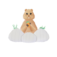 marmotta png elementi