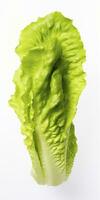 AI generated Lettuce isolated on white background. AI Generated photo